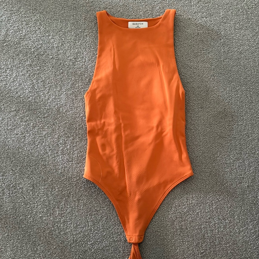 Babaton Aritzia Bodysuit